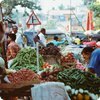 Pozazdrościć bogactwa warzyw i owoców